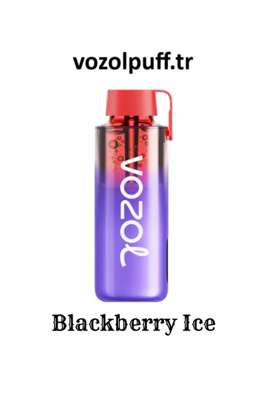 Vozol Neon 10000 Puff Blackberry Ice Aromalı E-sigara - 50mg Nikotin