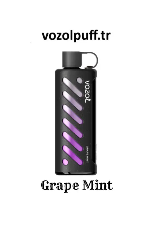 Black grape mint vape from Grape Mint - Vazol Gear Shisha 25000