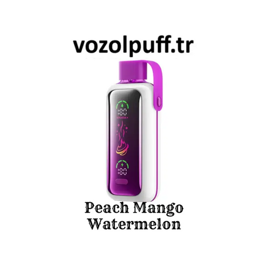 Vozol Star 20000 Puff Peach Mango Watermelon Aromalı E-sigara çeşidi 