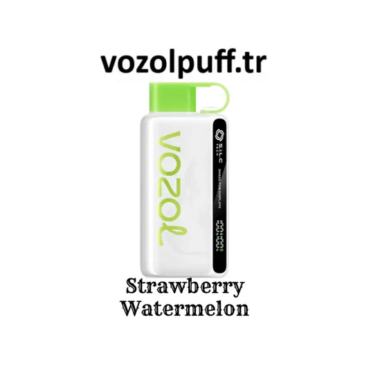 Strawberry Watermelon Vazol puff, refreshing vape flavor in sleek design